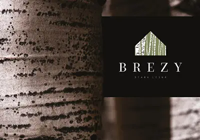 Brezy