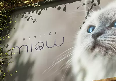 Miaw