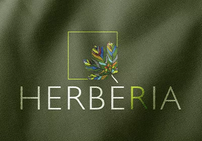 Herbéria